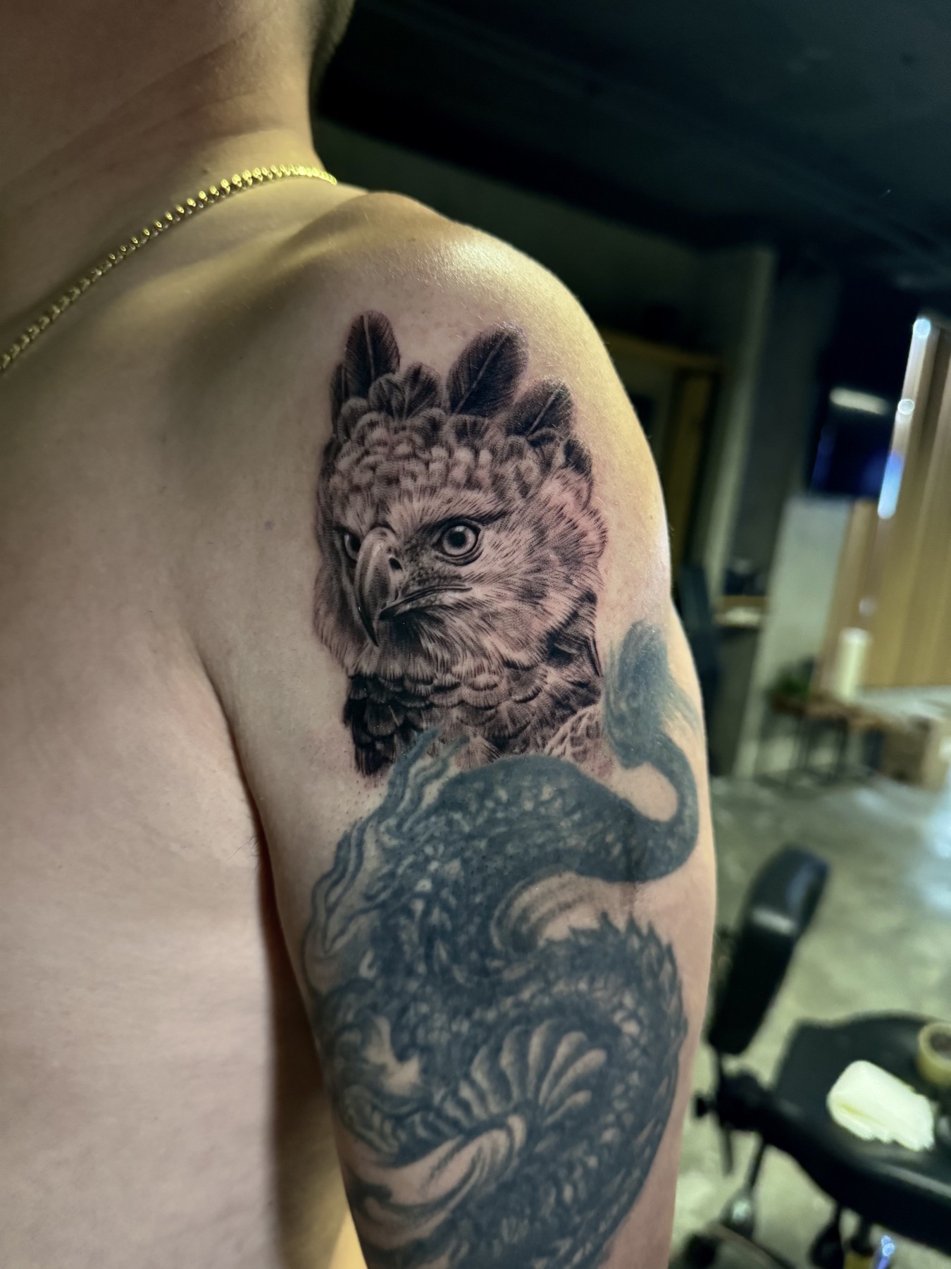 Realistic black and grey eagle tattoo by Mike Villamizar